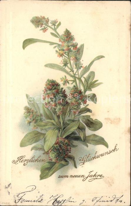 Neujahr Glückwunsch Blumen Litho
