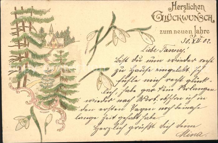 Neujahr Schneegloeckchen