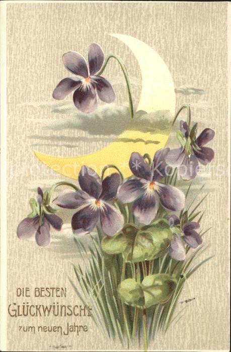 Neujahr Veilchen Mond