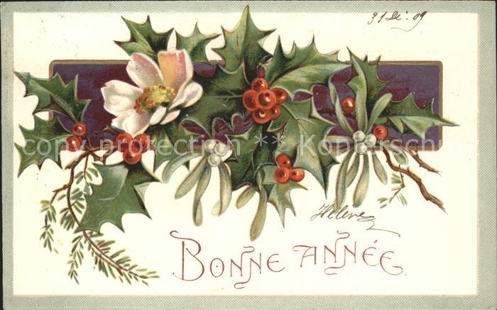 Neujahr Stechpalme Mistel Christrose