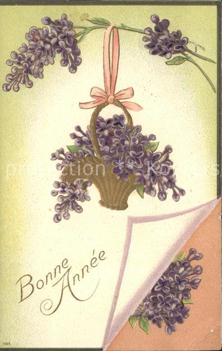 Neujahr Veilchen Korb