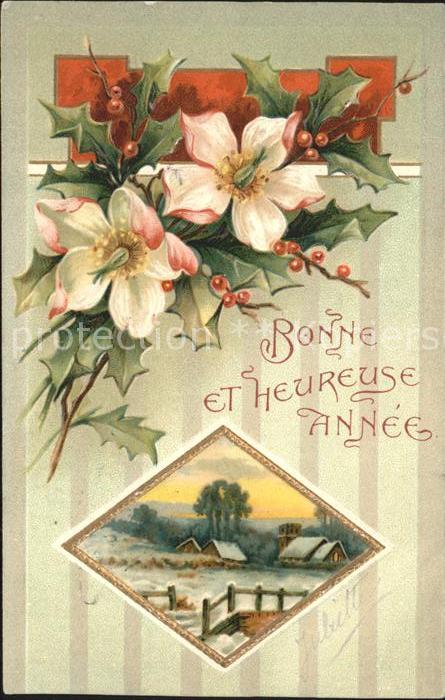 Neujahr Christrosen Stechpalme