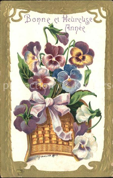 Blumen Stiefmütterchen Neujahr