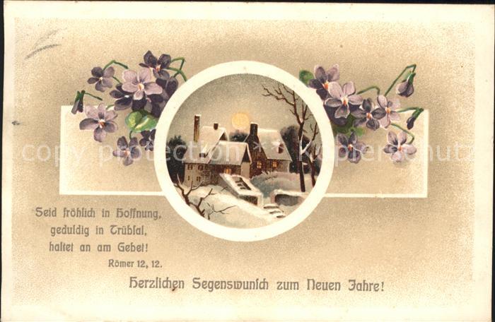Neujahr Veilchen Psalm Römer 1212.
