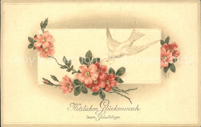 Brieftaube Carrier Pigeon voyageur Blumen Glückwunsch Geburtstag