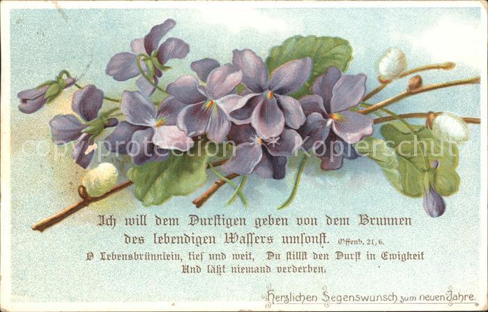 Neujahr Veilchen Weidenkätzchen Gedicht