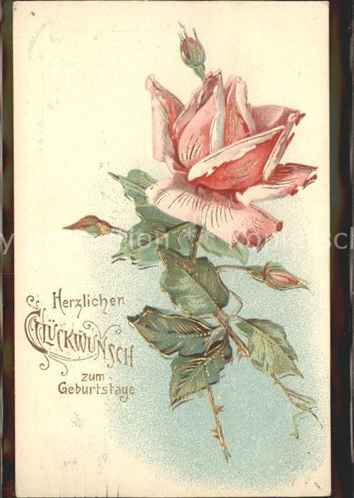 Rosen Glückwunsch Geburtstag