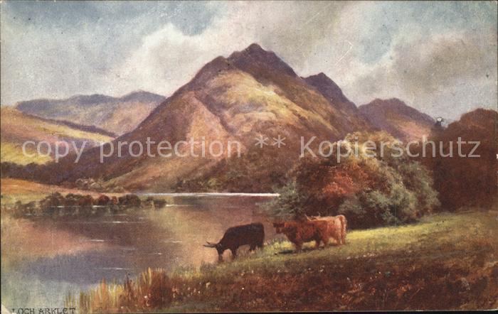 Verlag Tucks Oilette Nr. 3326 Loch Arklet Trossachs Rinder
