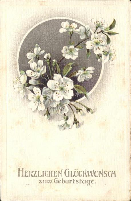 Geburtstag Glueckwunsch Blumen