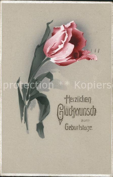 Geburtstag Glueckwunsch Tulpe