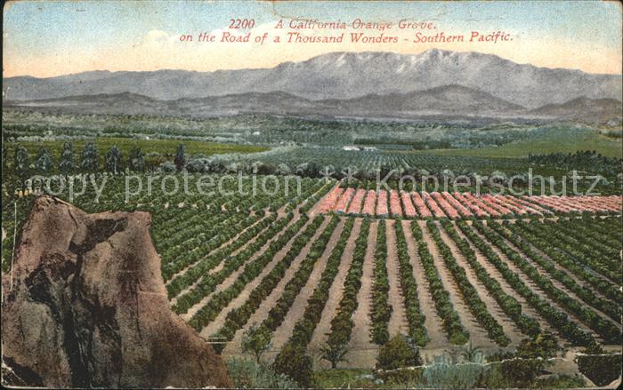 Orangen Oranges California Orange Grove Road of a Thous