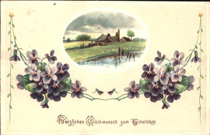 Geburtstag Glückwunsch Veilchen Litho
