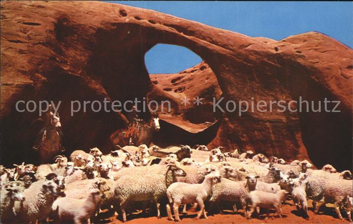 Schafe Navajo Sheepherders Indian Reservation