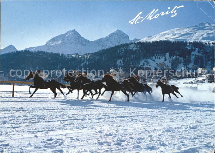 Pferdesport Pferderennen Reitsport St. Moritz Piz Julier Piz Nair