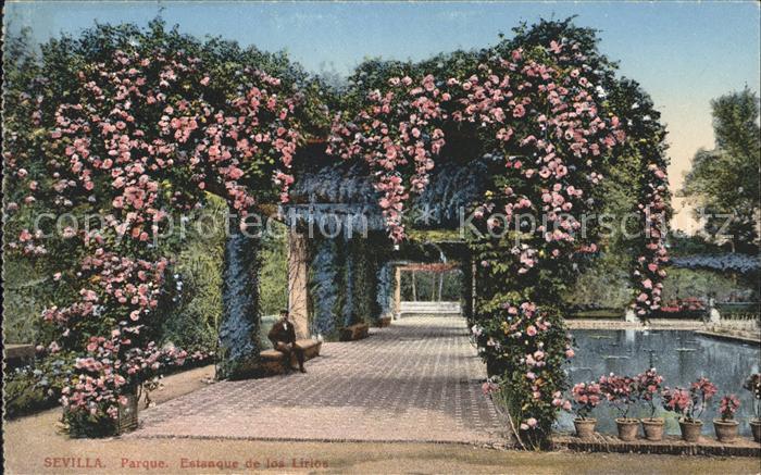 Sevilla Andalucia Parque Estanque de los Lirios