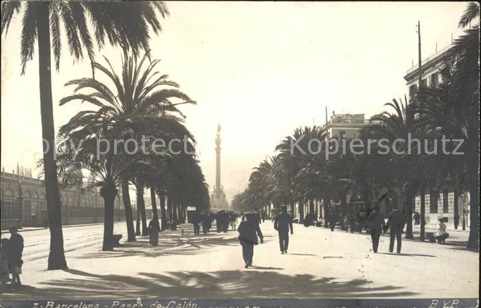 Barcelona Cataluna Paseo de Colon Palmera
