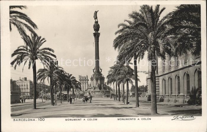 Barcelona Cataluna Monumento a Colon Palmera