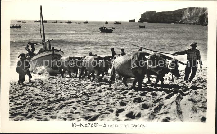 Nazare Portugal Arrasto dos barcos Ochsen
