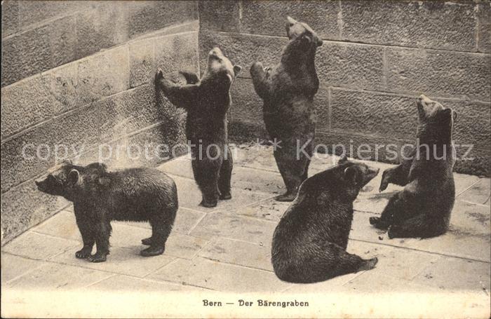 Baeren Bern Baerengraben