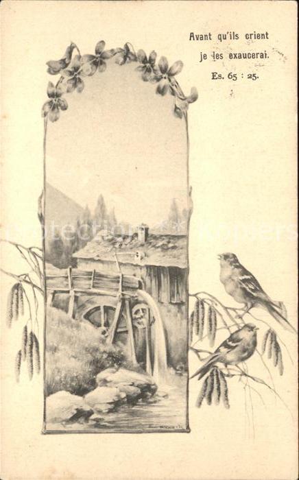 Wassermuehle Vögel