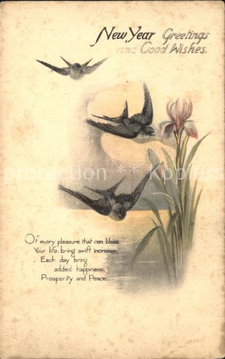 Neujahr Blumen Schwalben Gedicht Litho Verlag-Tucks
