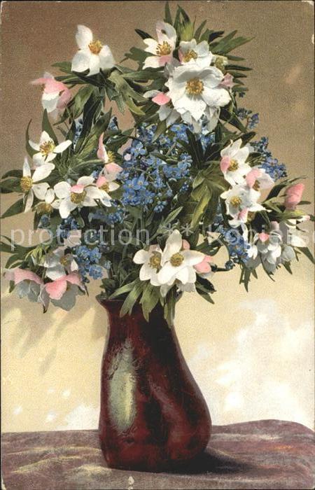 Verlag Photochromie Nr. 730 Vergissmeinnicht