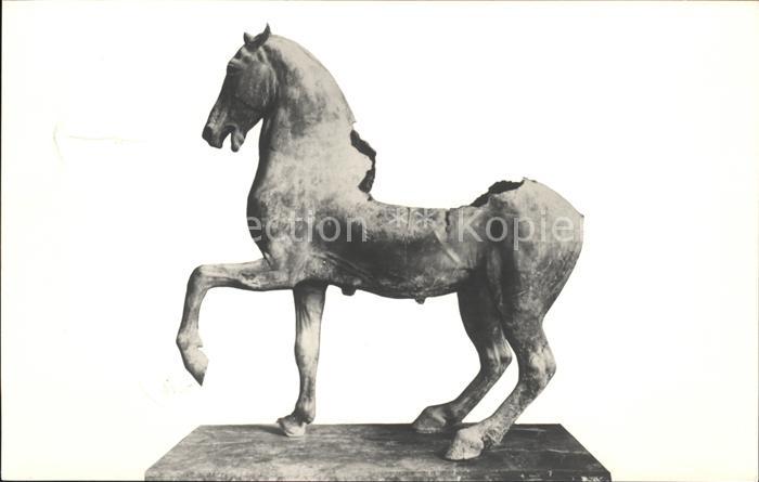 Pferde Skulptur Cavallo Bronzo Palazzo Conserv