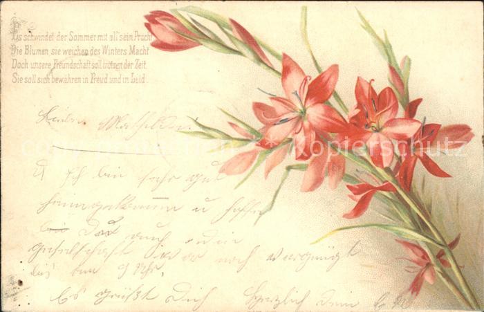 Blumen Gedicht Litho