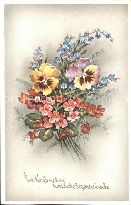 Konfirmation Stiefmütterchen Vergissmeinnicht Primel