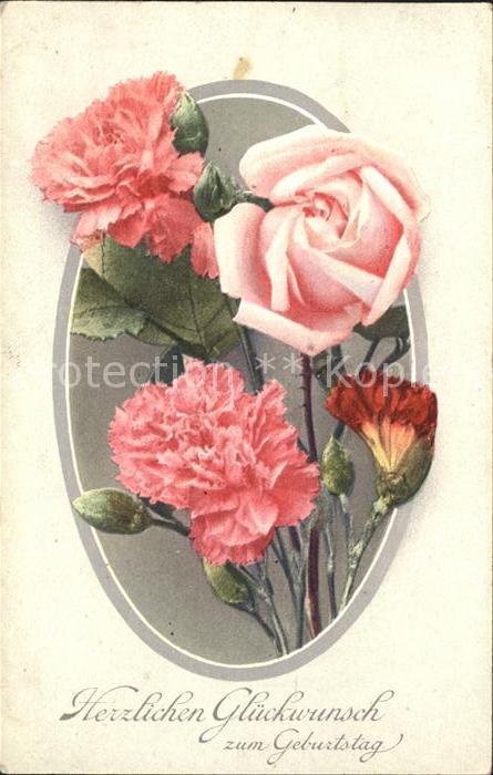 Rosen Nelken Geburtstag