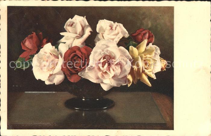 Rosen Verlag-Künzli