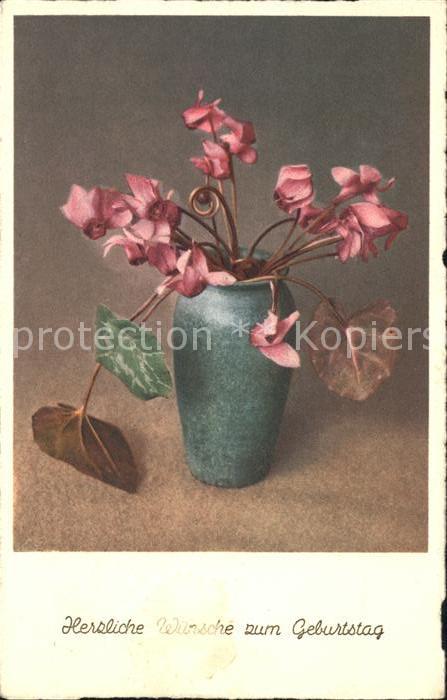 Geburtstag Alpenveilchen Vase