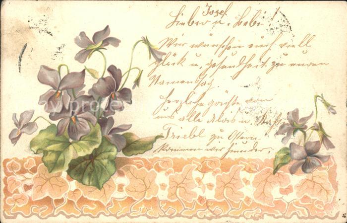 Blumen Veilchen Litho