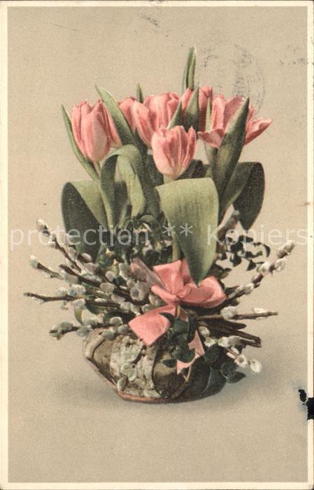 Blumen Tulpen Weidenkätzche