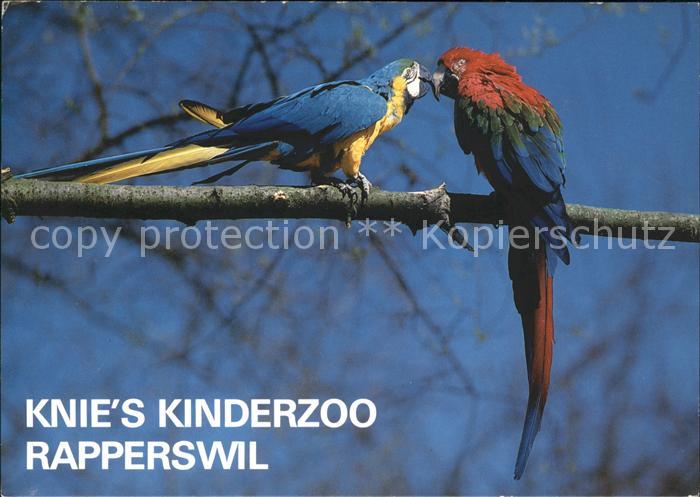 Papagei Ara Knie's Kinderzoo Rapperswil