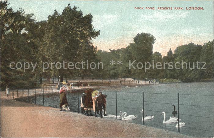 London Duck Pond Regents Park