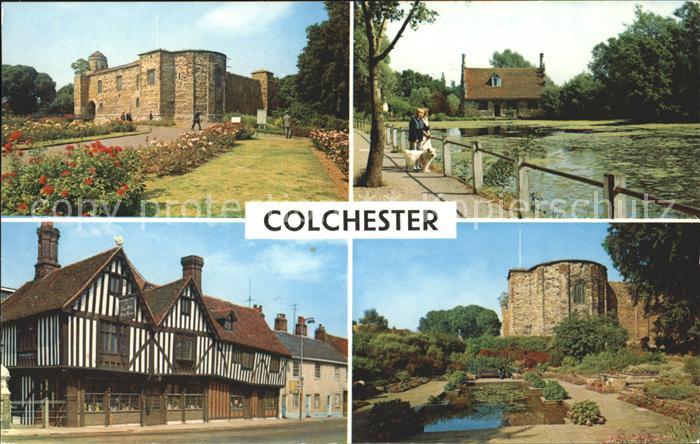 Colchester Castle Bourne Mill Old Siege House Lily Pond