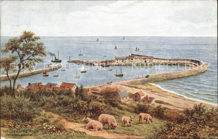 Lyme Regis View from Holmbush Sheep Harbour Salmon Series Kuenstlerkarte