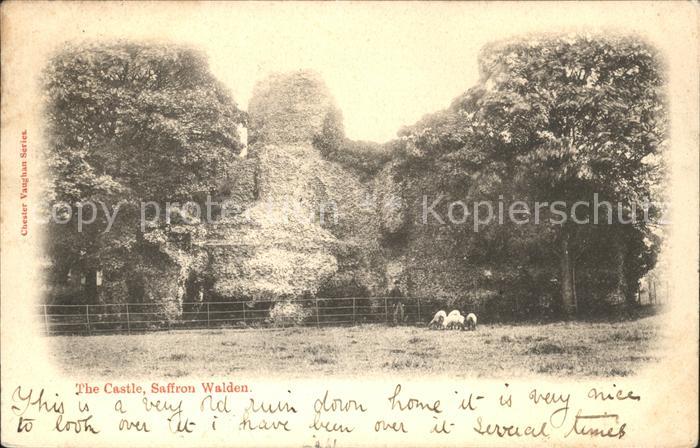 Saffron Walden Castle Sheeps