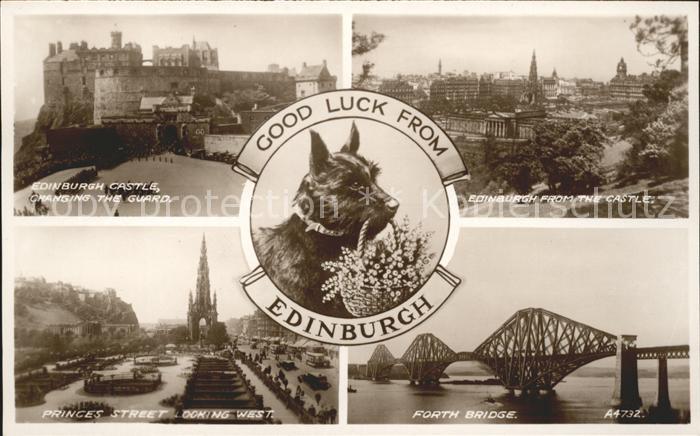 Edinburgh Scotland Castle Princes Street Forth Bridge Dog Valentine's Post Card