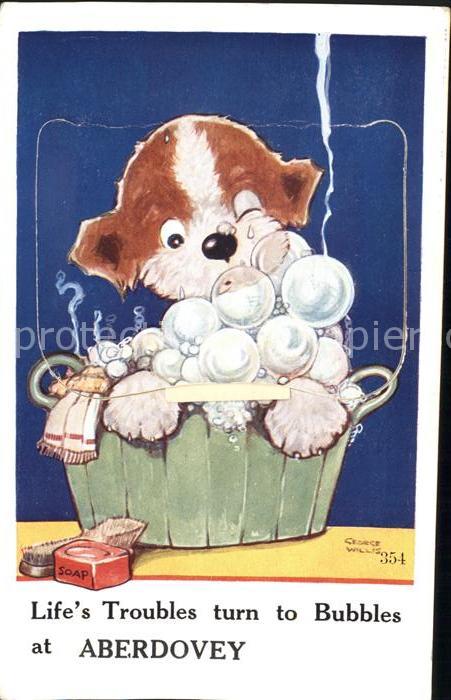 Aberdovey Life's Troubles turn to Bubbles Valentine's Mail Novelty
