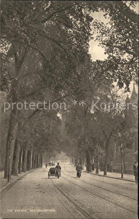 Southampton The Avenue Baumallee