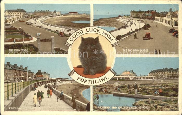 Porthcawl Promenade Cat Valentine's Carbo Colour