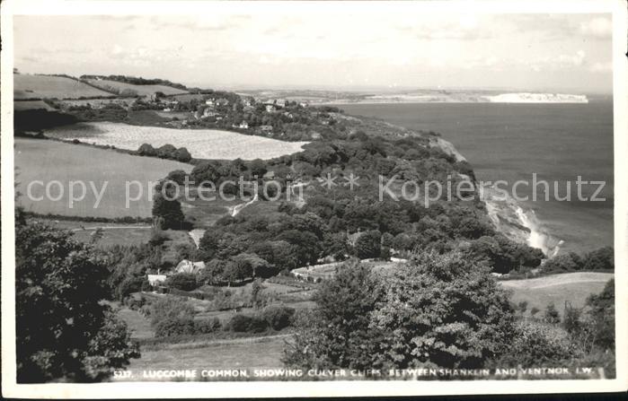 Luccombe Panoramic view showing Culver Cliffs between Shanklin and Ventnor