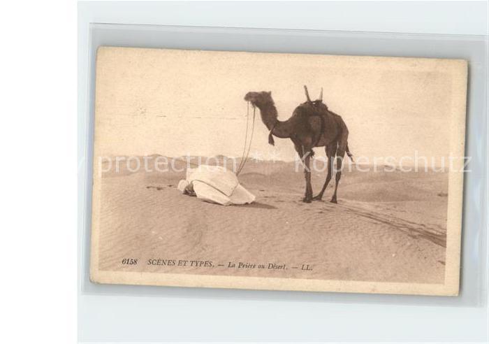 Kamel  Camel Chameau Typen Priere au Desert Scenes et Types