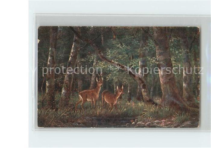 Reh Rehe Wald