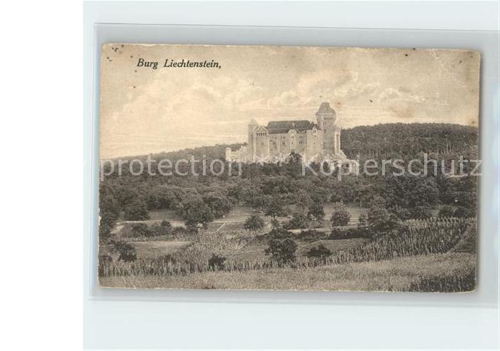 Maria Enzersdorf Burg Liechtenstein