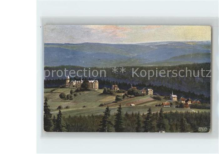 Verlag WIRO Wiedemann Nr. 3484 A Finsterbergen Thueringerwald Kurhaus Felsenstei