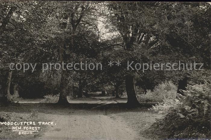 New Forest Woodcutters Track