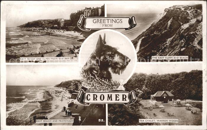Cromer Beach Cliffs Promenade Tea Chalet Warren Woods Dog Excel Series